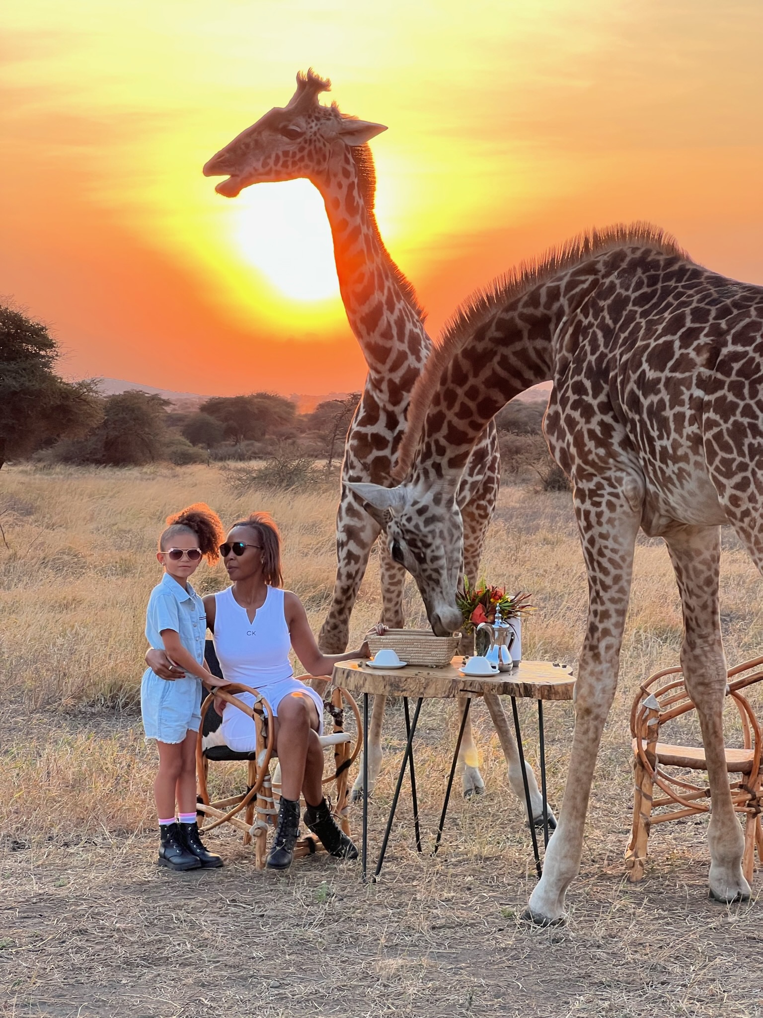 Serval Wildlife Daily Departures - 3 Days 2 Nights