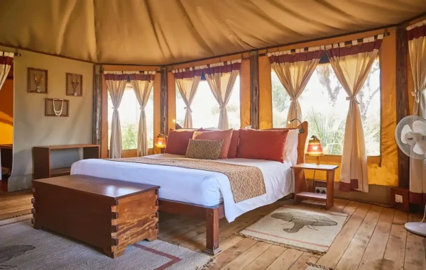 Camp de chambres d'éléphants