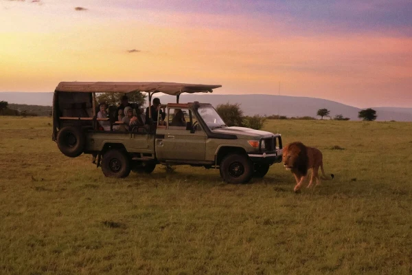 7 días de safari grupal clásico por el norte de Tanzania