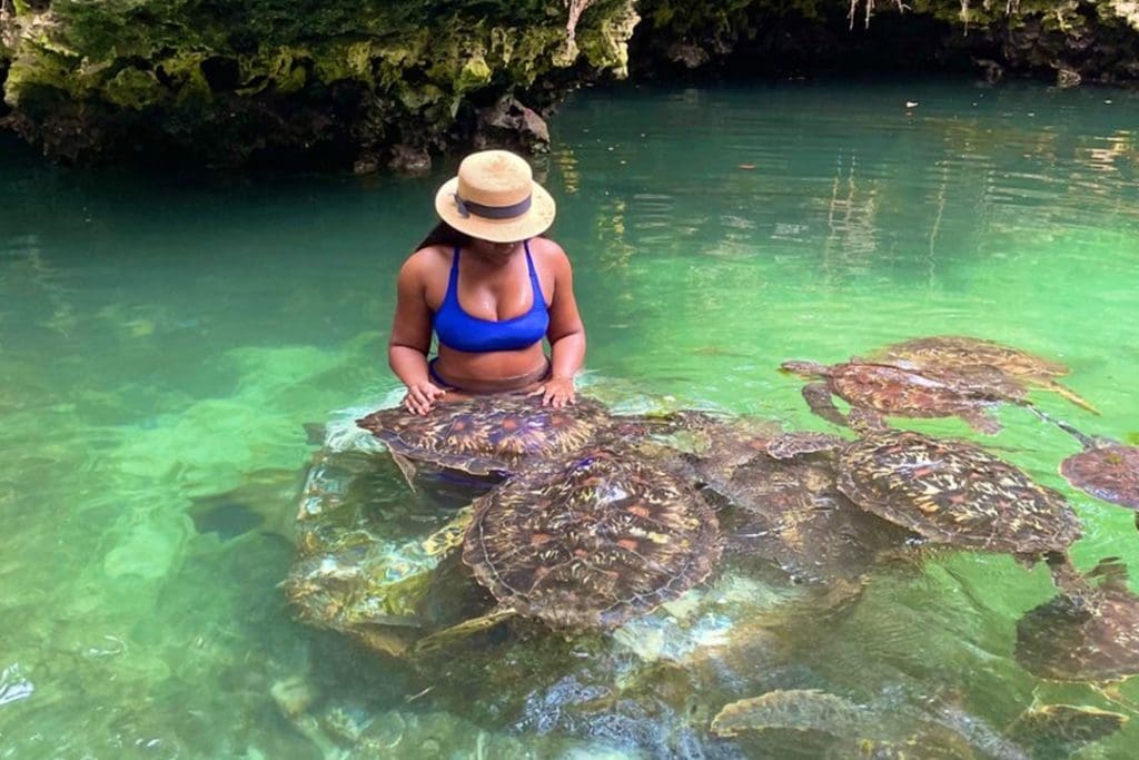 Nungwi Village Tour & Turtles Aquarium