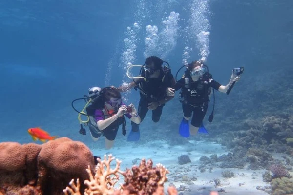 Scuba Diving Trip — Zanzibar Underwater Paradise