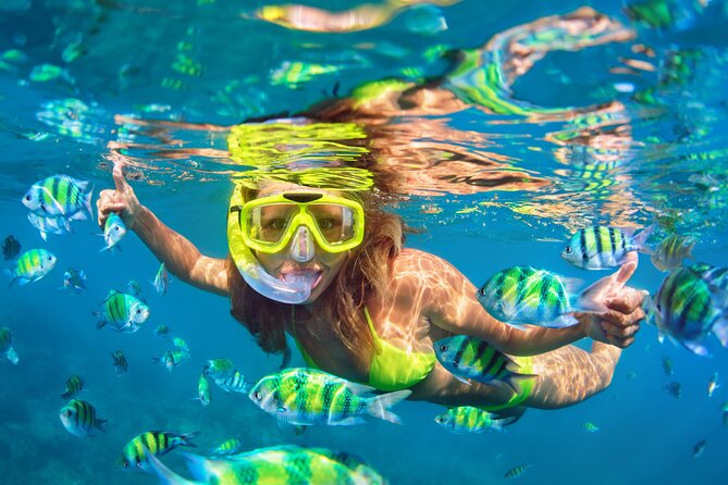Safari Blue & Snorkelling Full-Day Tour