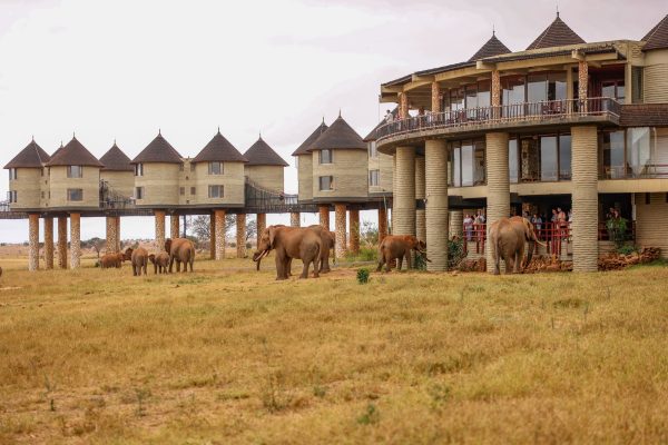 2 nuits au Saltlick Safari Lodge — Forfait Safari Train SGR